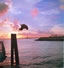 Lubitel Images: Diving off the pier at sunset